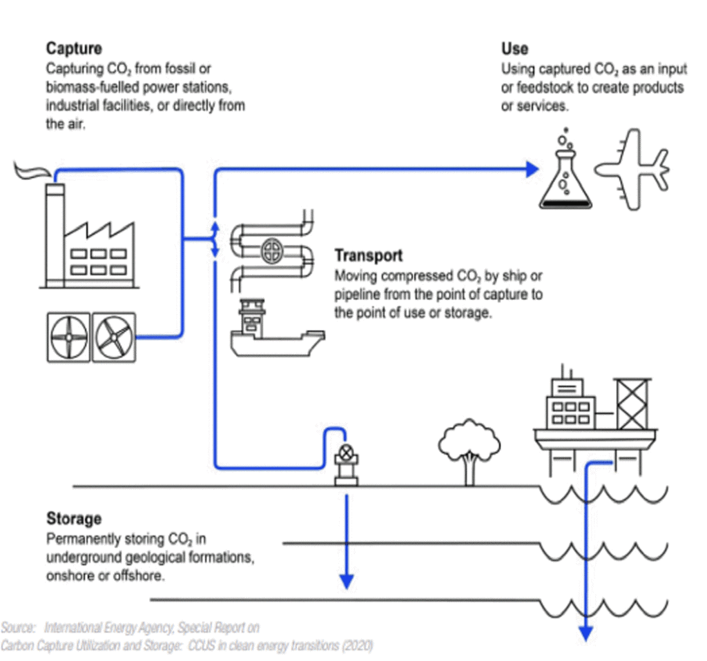 Electric Power Sector Decarbonization with CCUS